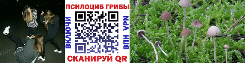 Псилоцибиновые грибы ЛСД  Опочка 